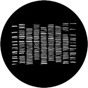 gobo