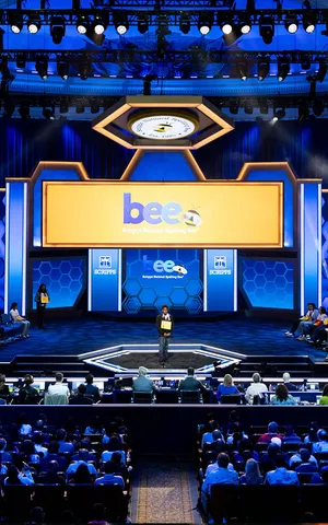 Bee-lieving in Robe