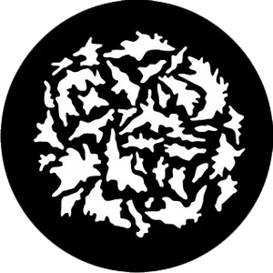 gobo