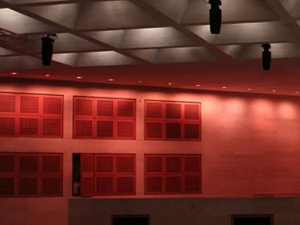 Anolis Ambiane im Auditoria du Louvre