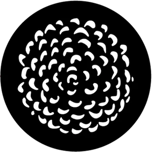 gobo