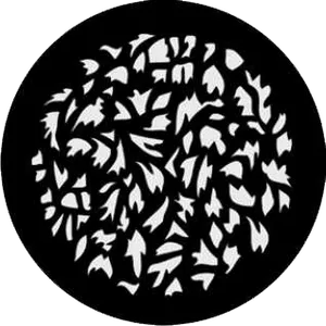 gobo