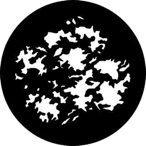gobo