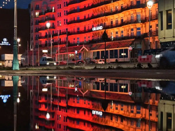 Anolis Looks Grand in Brighton