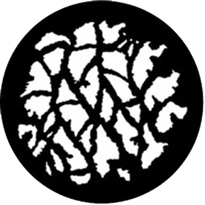 gobo
