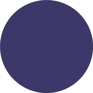 gobo