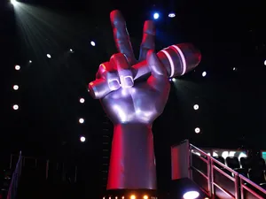 Another "Voice" for Robe