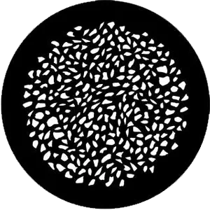 gobo