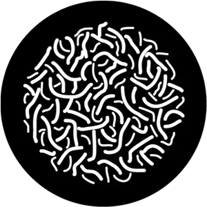 gobo