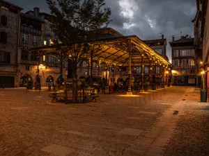 Anolis Calumma Illuminates Halle de Figeac