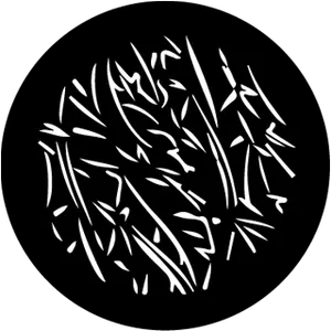 gobo