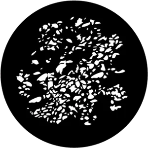 gobo