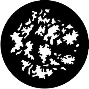 gobo