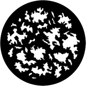 gobo