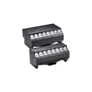 T31 Cyc™