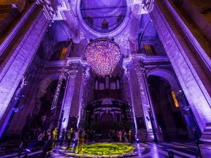 BMFLs for Ghent Floralien