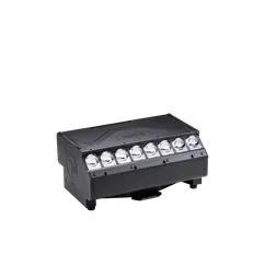 T31 Cyc™