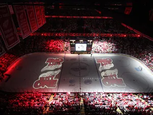 Robe for Detroit Red Wings NHL Play off