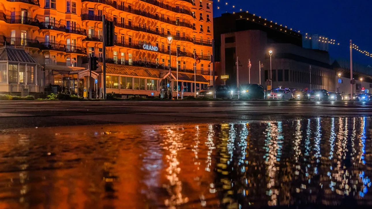 Anolis Looks Grand in Brighton