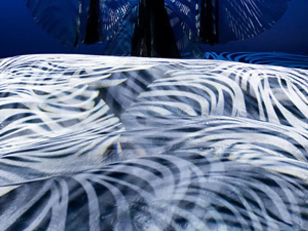 Robe Holds the Strings at Ljubljana Puppet Theatre