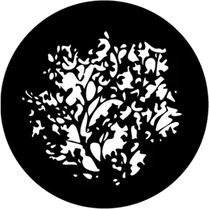 gobo