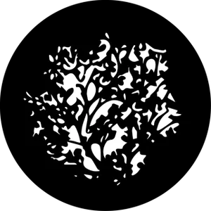 gobo