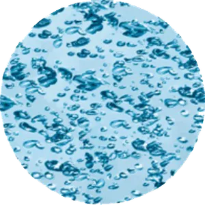 gobo