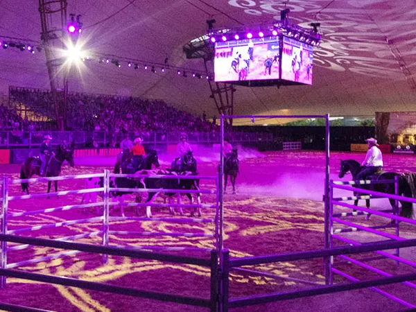 Robe Ramps Up the Horsepower for Equitana Spectacle