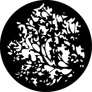 gobo