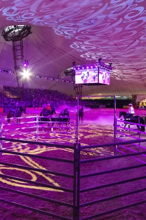 Robe Ramps Up the Horsepower for Equitana Spectacle